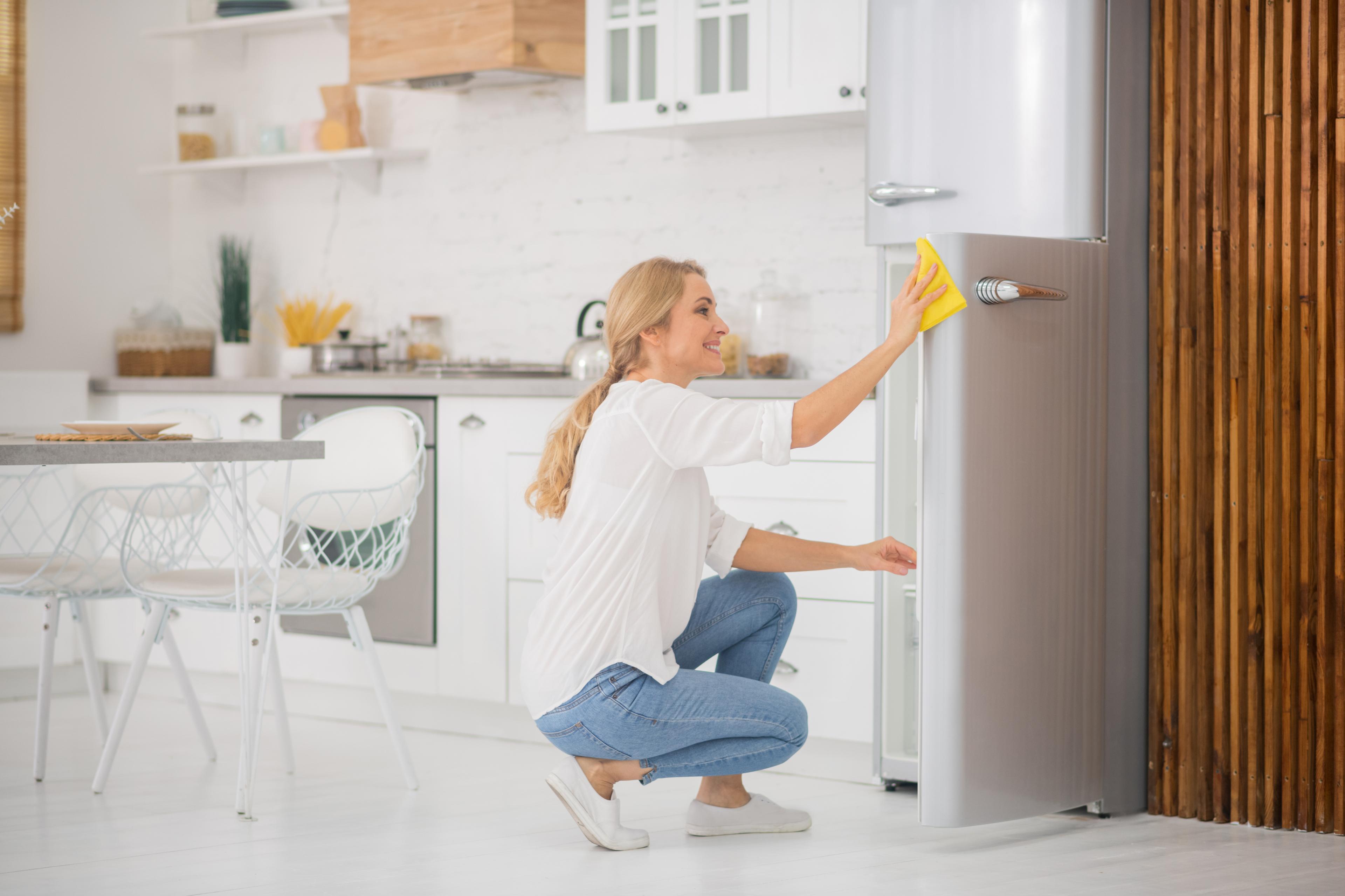 In an airy, sunlit space, someone embraces spring cleaning, gently wiping the exterior of their refrigerator, enhancing the bright atmosphere.